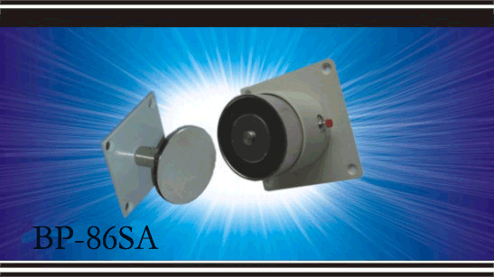 ����Ŵ�鿴