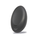 ����Ŵ�鿴